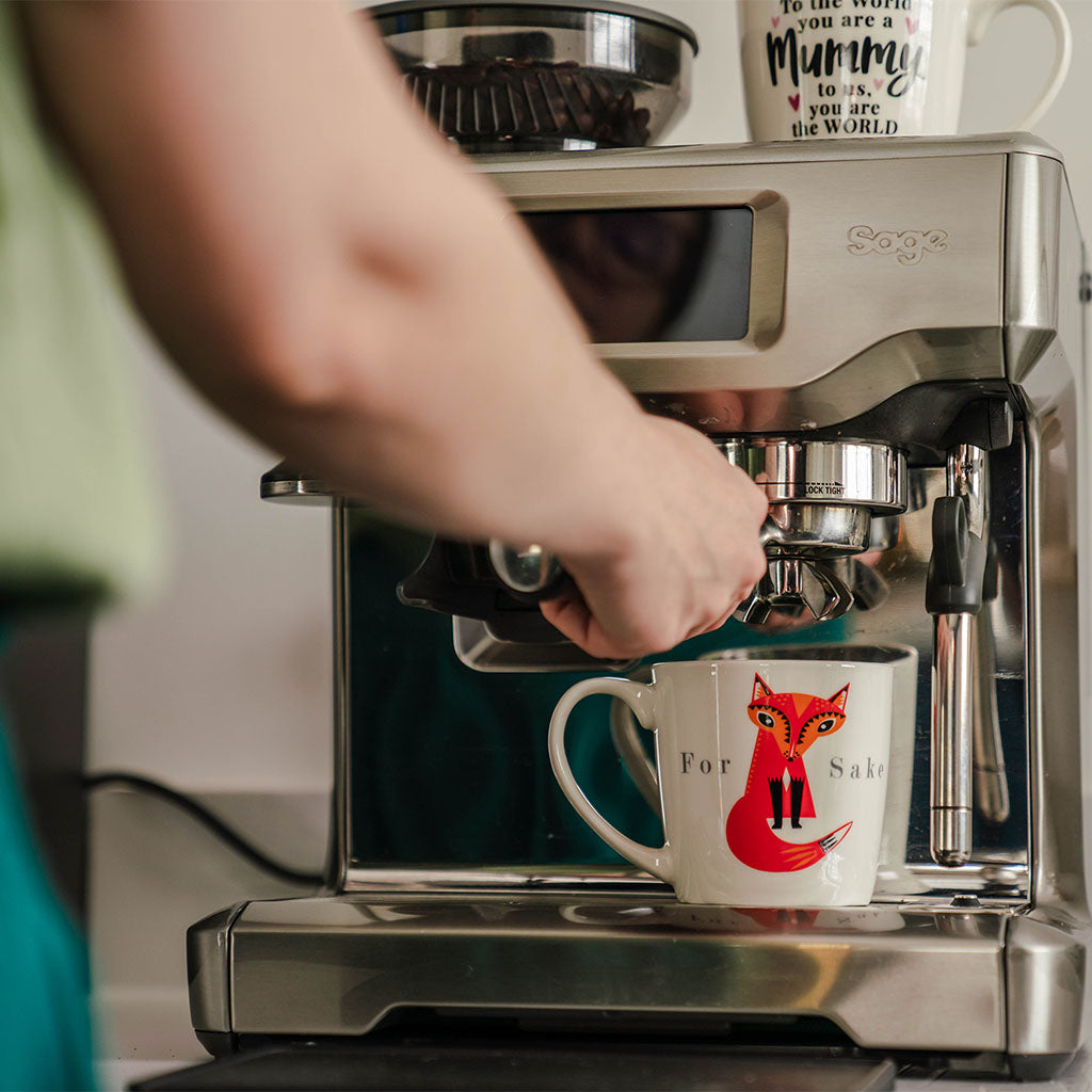 For Fox Sake Inside Out Mug