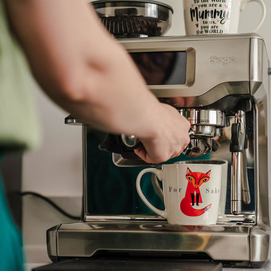 For Fox Sake Inside Out Mug