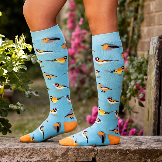 Garden Birds Welly Socks