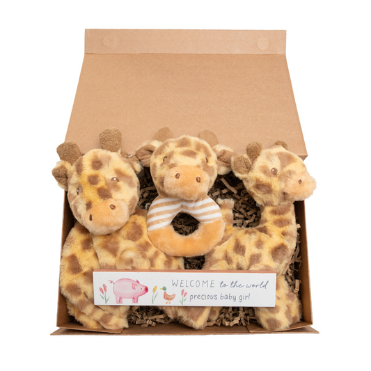 Baby Gift Box