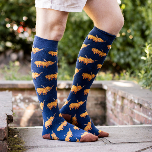 Highland Cow Welly Socks (6 -11)