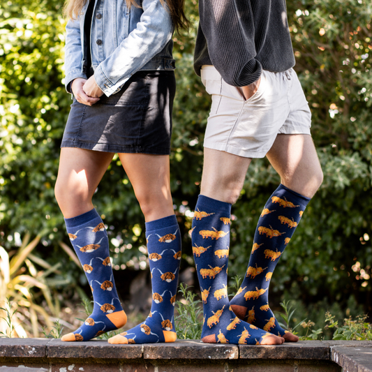 Highland Cow Welly Socks (4-7)
