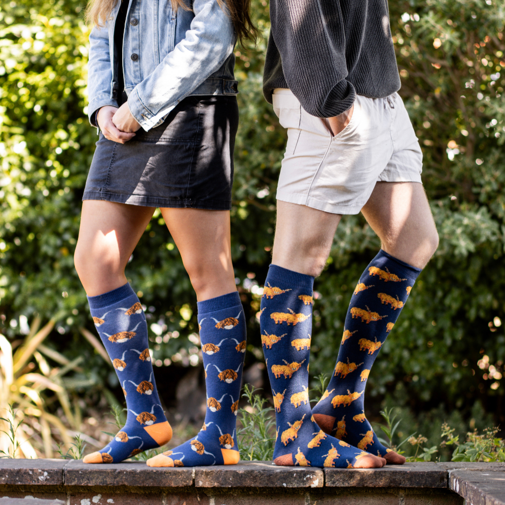 Highland Cow Welly Socks (6 -11)