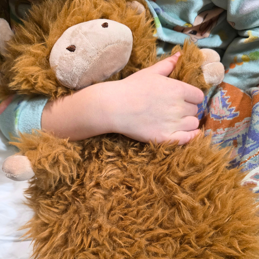 Highland Cow Short Hot Water Bottle