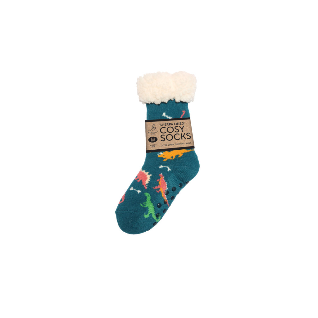Dinosaur slipper socks discount