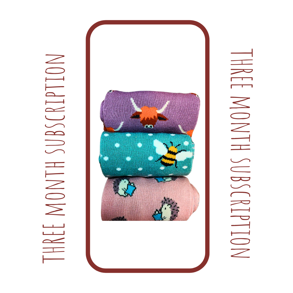 Miss Sparrow Sock Gift Subscription (3 Month Subscription For Her)