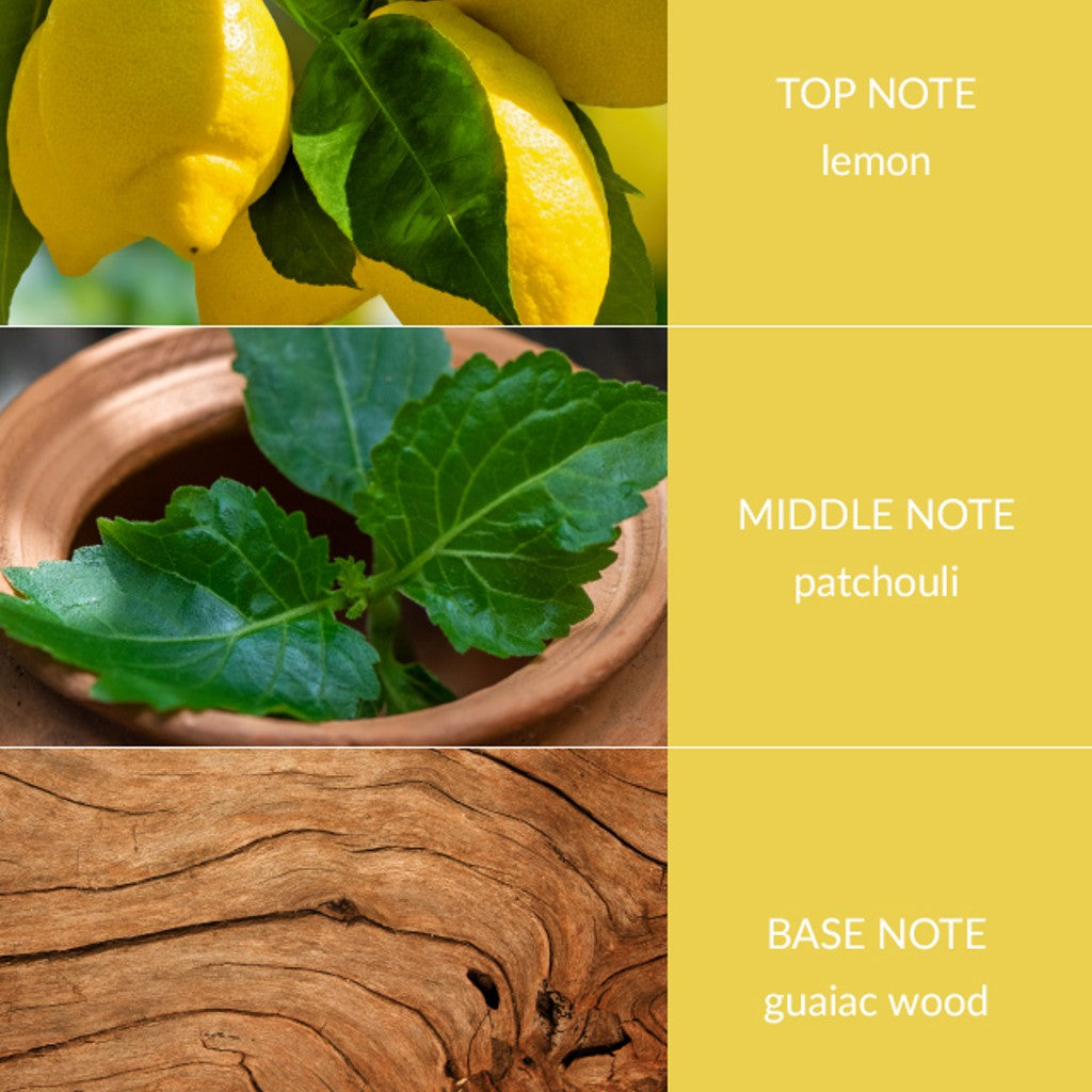 Patchouli & Guaiac Wood Eco Soy Candle