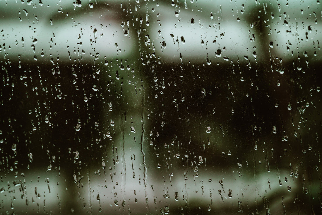 Ten Films To Watch On a Wet Afternoon