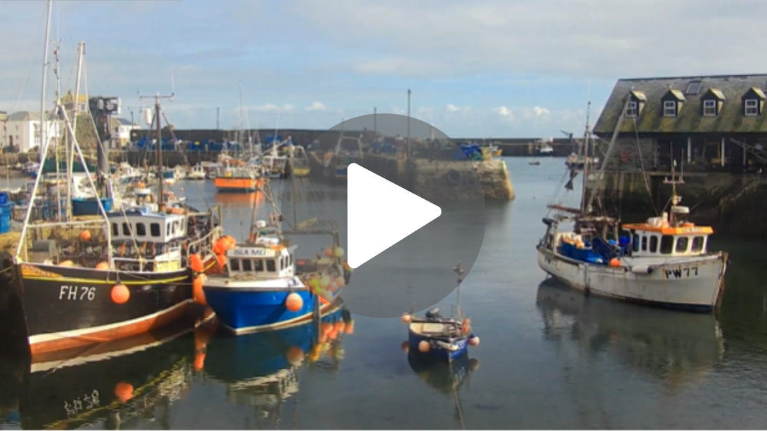 Mevagissey Webcam