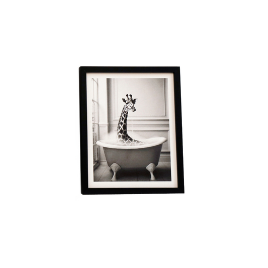 Giraffe in Bath Framed Canvas