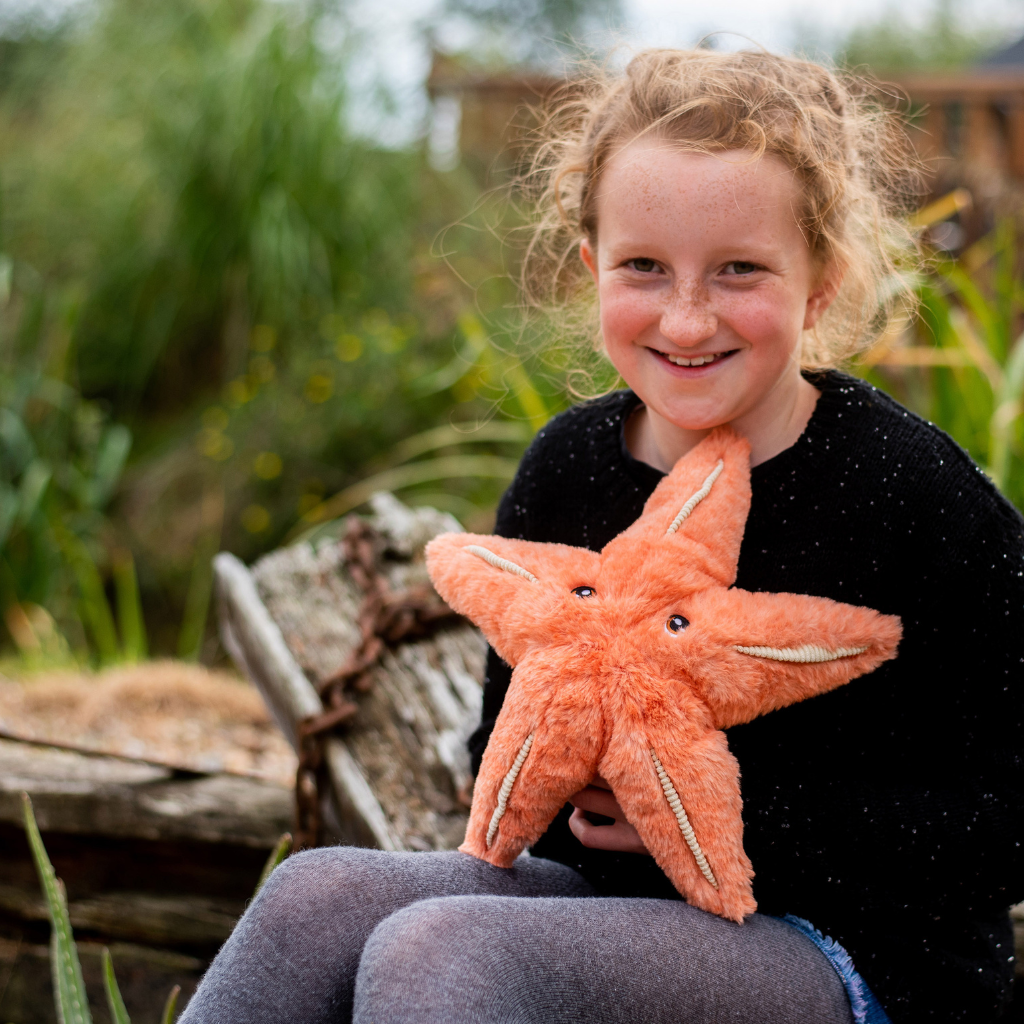 Keeleco 25cm Starfish Soft Toy