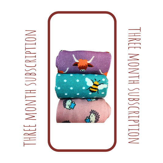 Miss Sparrow Sock Gift Subscription (3 Month Subscription For Her)