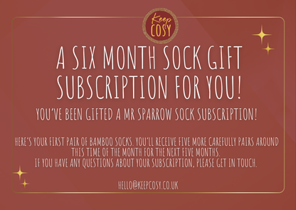 Mr Sparrow Sock Gift Subscription (6 Month Subscription For Him)