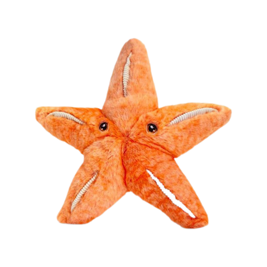 Keeleco 25cm Starfish Soft Toy