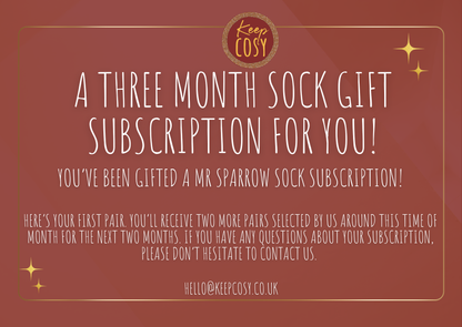 Mr Sparrow Sock Gift Subscription (12 Month Subscription for Him)