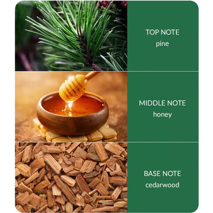 Winter Pine & Cedarwood Fragrance Diffuser (80ml)