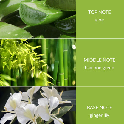 Bamboo & Ginger Lily Fragrance Diffuser (80ml)