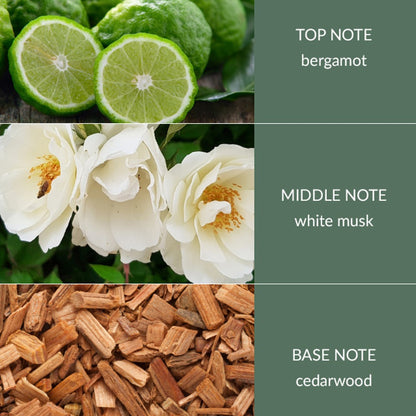 Cedarwood & White Musk Fragrance Diffuser (80ml)